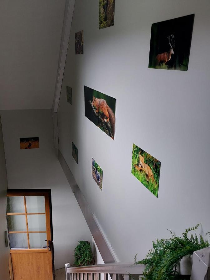 O Baguenaudes Apartment Jalhay Exterior photo